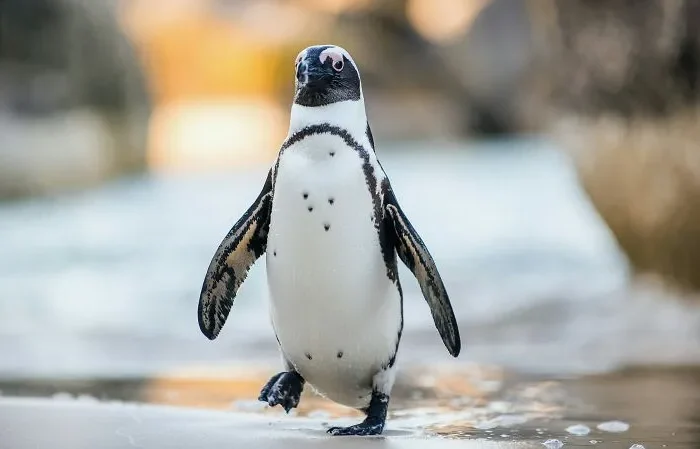 20 Adorable Zoo Animals That Are Secretly a Nightmare to Work With