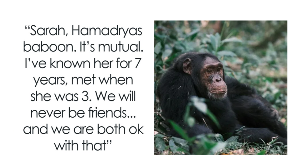 20 Adorable Zoo Animals That Are Secretly a Nightmare to Work With 20 Adorable Zoo Animals That Are Secretly a Nightmare to Work With