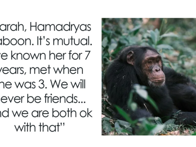 20 Adorable Zoo Animals That Are Secretly a Nightmare to Work With